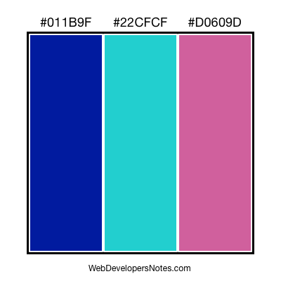 Color Combination #304
