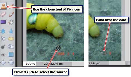 Removing the date using the clone tool at Pixlr.com