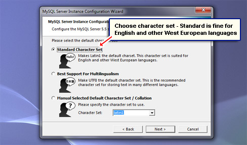 Choose character set - Standard is fine for English and other West European languages.