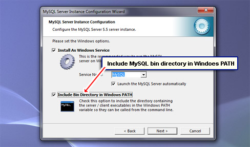 Include MySQL bin directory in Windoes PATH.