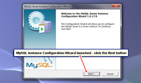 MySQL Instance Configuration Wizard launched - click the Next button.