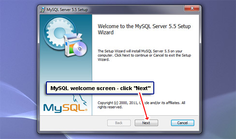 MySQL welcome screen - click the Next button.