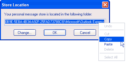 Copying the store location directory path to create a backup