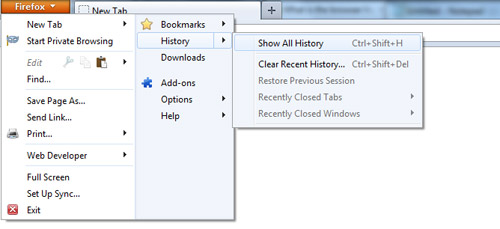 Get web browser history in Firefox
