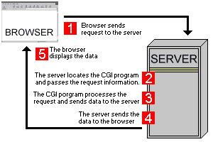 Case #2 of the client-server architecture - Client requests for CGI scripts