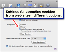 Choose to accept web site cookies or otherwise in Apple Safari web browser