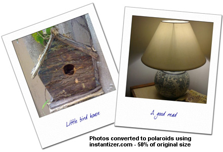 Convert digital photographs to polaroids with the Instantizer.com service