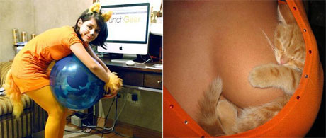 Firefox costume and kitten with boobs (breasts)