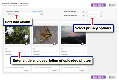 Make your photo album on Yahoo! Pulse