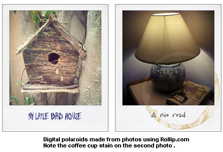 Photos converted to polaroids using Rollip.com, an online service for image manipulation