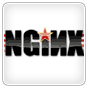 Nginx web server