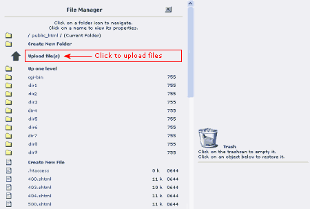 Uploading files using the File Manager on web hosting server