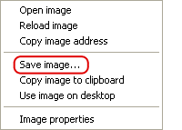 Save image using Opera web browser