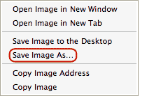 The right-click menu of the Safari browser and the saving images option