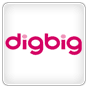 Digbig logo