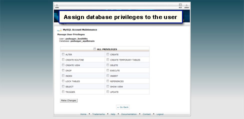 Assign database privileges to the user