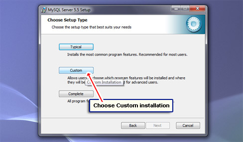 Choose Custom installation.