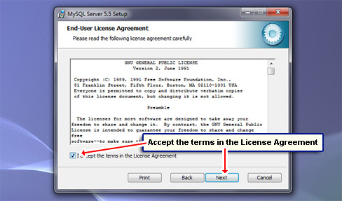 Accept the terms in the License Agreement.