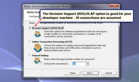 The Decision Support (DSS)/OLAP option is good for your developer machine - 20 connections are assumed.