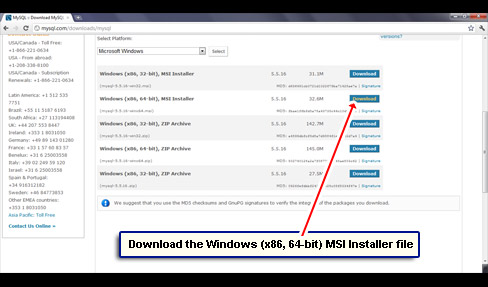 Download the Windows (x86, 64-bit) MSI Installer file.