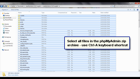 Copy all files from the phpmyadmin zip archive to the new folder.