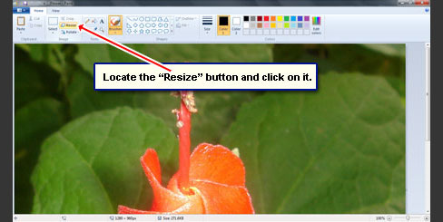 Use the resize function of Paint to decrease image size