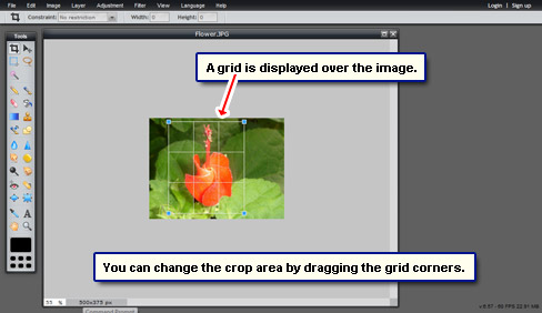 A grid appears over the image. You can change the crop area by dragging the corners of this grid.