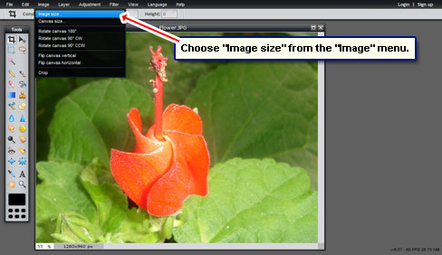 Use the image size option in the online editor