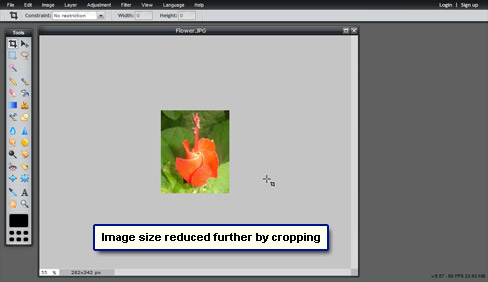 Image size in both dimensions and filesize will reduce by cropping