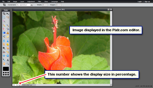 Pixlr opens the image and displays it