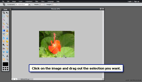 Select and drag the cursor over the image