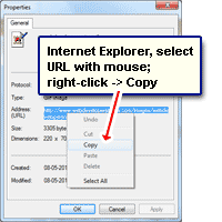 Internet Explorer: drag mouse and select the Address / URL. Right-click and choose copy