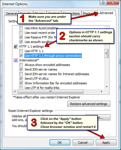 Change the Internet Explorer HTTP 1.1 settings
