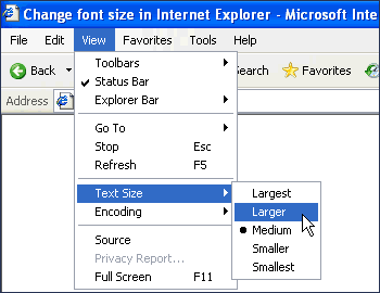 Change the font size of web page text in Internet Explorer using the View menu