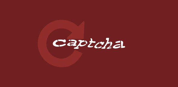Captcha definition - Why are you asked to type the two words?