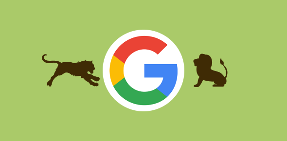 Compare two animals in Google cover image