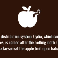 Cydia software is named after the coding moth