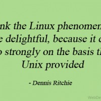 I think the Linux phenomenon is quite delightful, because it draws so strongly on the basis that Unix provided