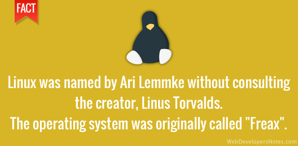 Linux was named by Ari Lemmke without consulting Linus Torvalds cover image