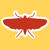 Computer bug - the moth