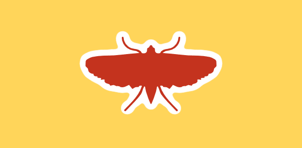 Computer bug - the moth
