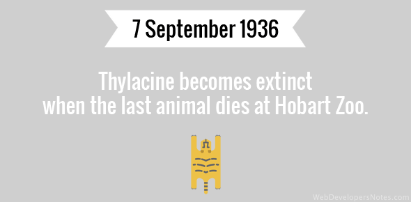 Thylacine becomes extinct cover image