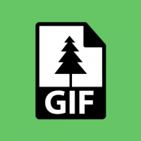 When do I use GIFs?